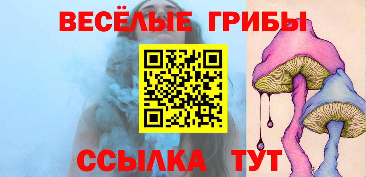 Псилоцибиновые грибы Psilocybine cubensis Среднеуральск